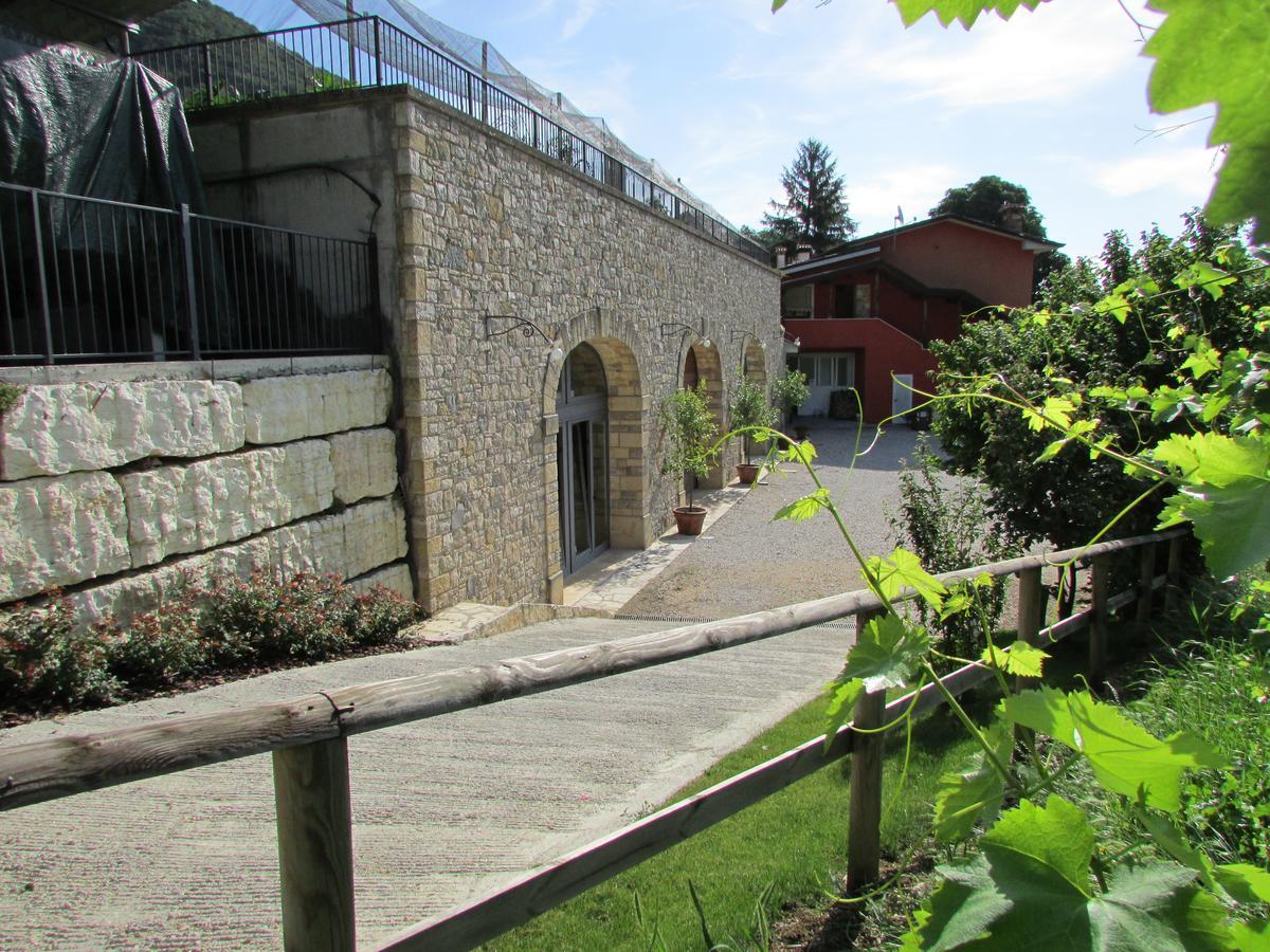 Agriturismo Vigneto Vecio 瓦尔多比亚德内 外观 照片